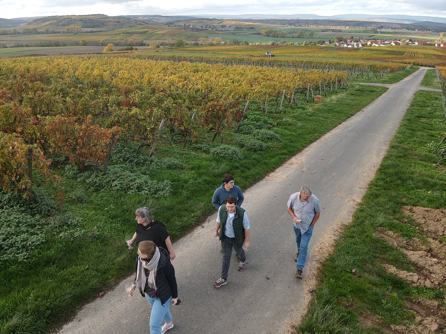 Weingut Rößler