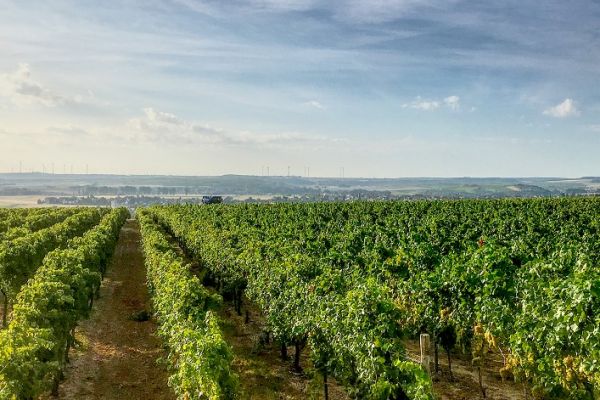 Weingut Rößler