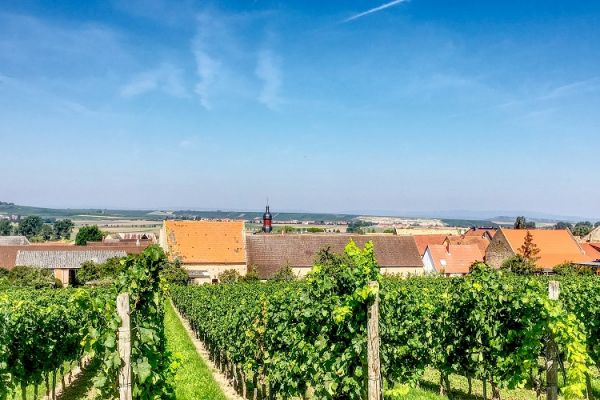 Weingut Rößler